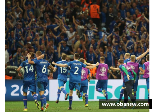 冰岛队球员：北欧足球的璀璨之星